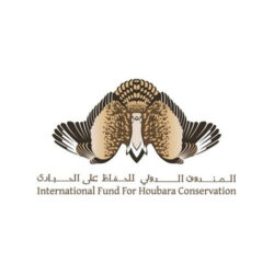 Houbara-logo
